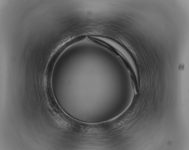 X0000091500722200708161458
