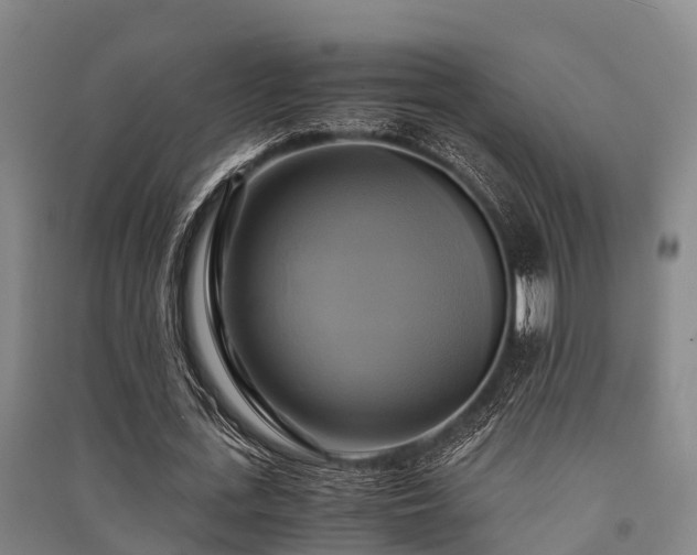 X0000091500723200708161458