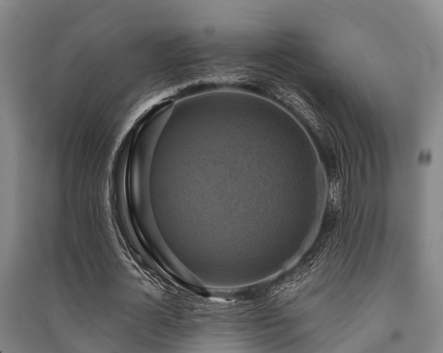 X0000091500724200708161458