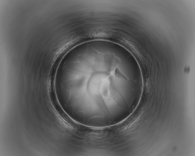 X0000091500725200708161458