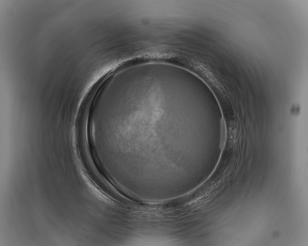 X0000091500726200708161458