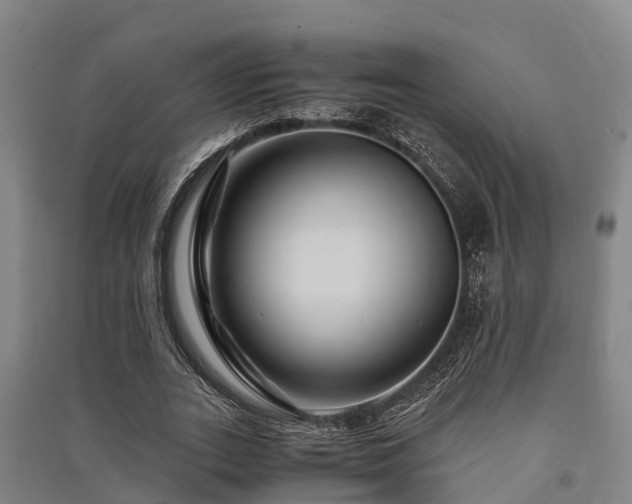 X0000091500727200708161458