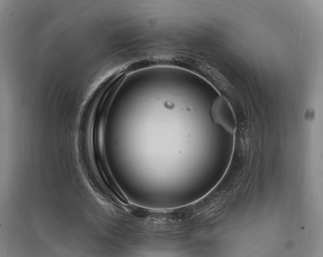X0000091500728200708161458