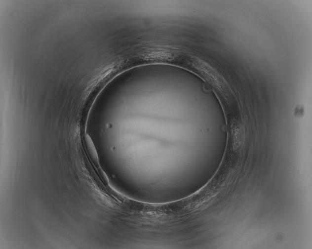 X0000091500729200708161458