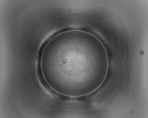 X0000091500730200708161458