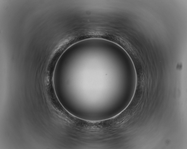 X0000091500731200708161458