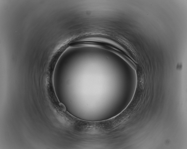X0000091500732200708161458