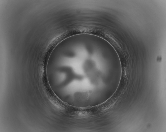 X0000091500733200708161458