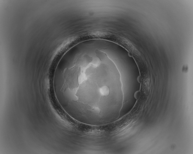 X0000091500734200708161458