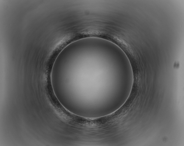 X0000091500735200708161458