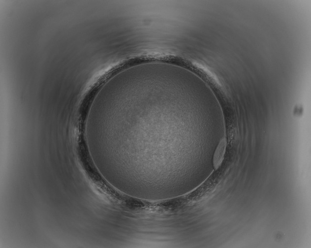 X0000091500736200708161458