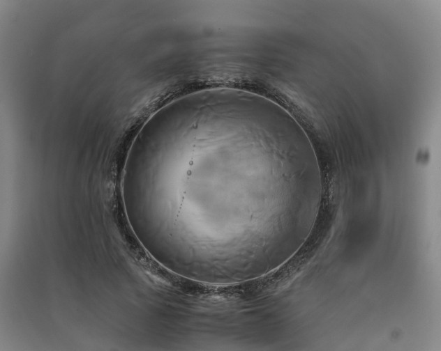 X0000091500737200708161458