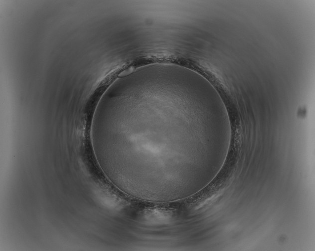 X0000091500739200708161458