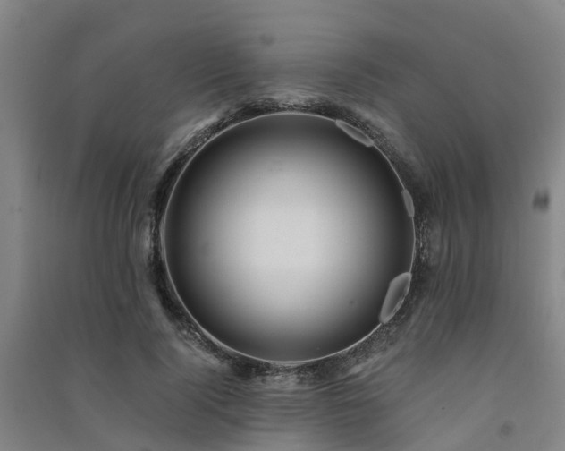 X0000091500740200708161458