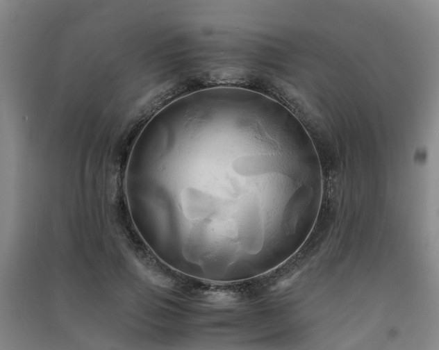 X0000091500741200708161458
