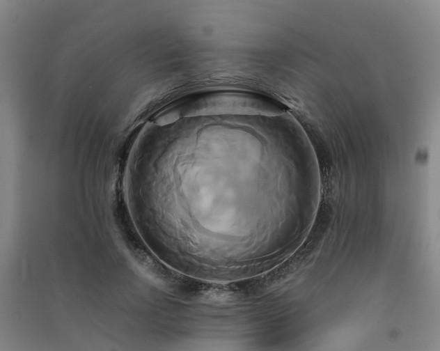 X0000091500742200708161458