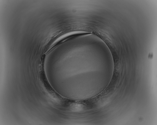 X0000091500743200708161458