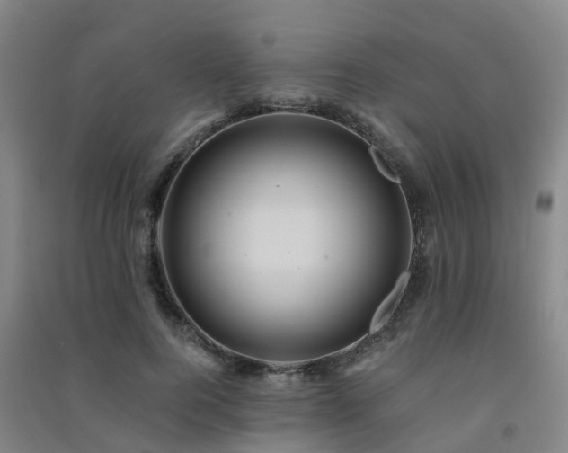 X0000091500744200708161458