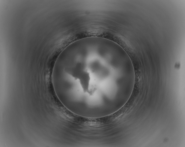 X0000091500745200708161458