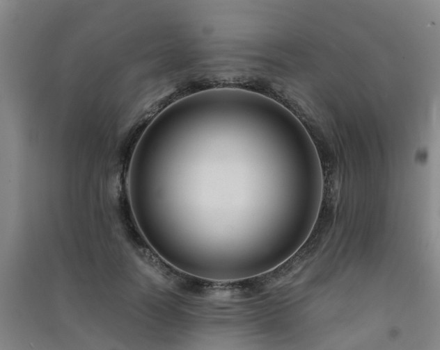 X0000091500746200708161458