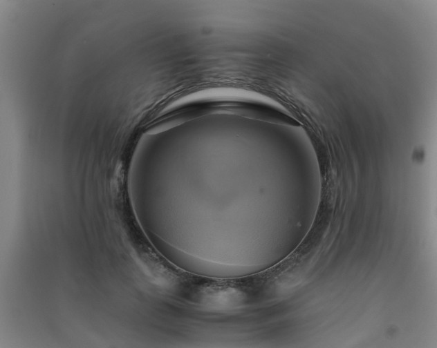 X0000091500747200708161458