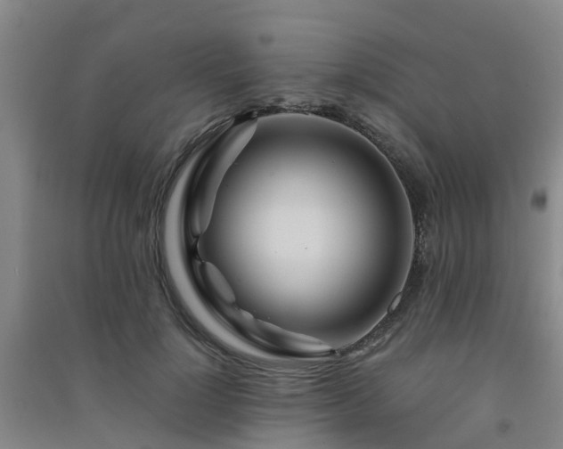 X0000091500748200708161458