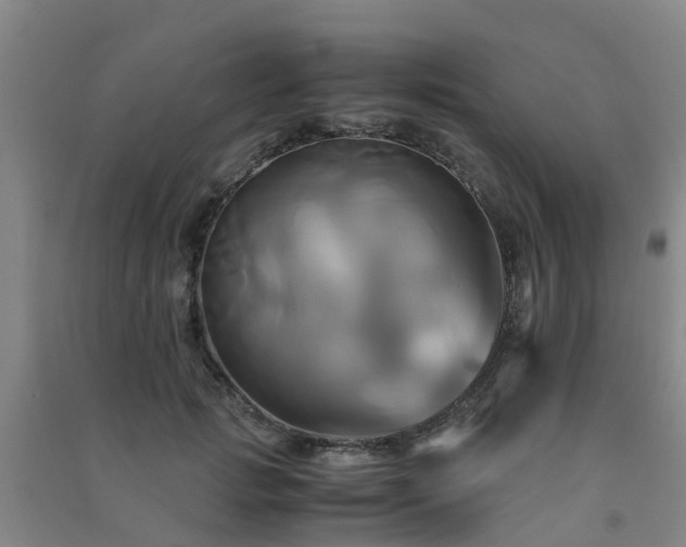 X0000091500749200708161458