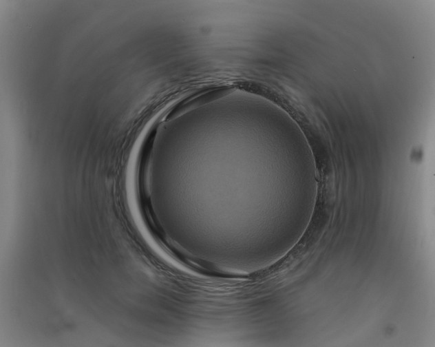 X0000091500750200708161458
