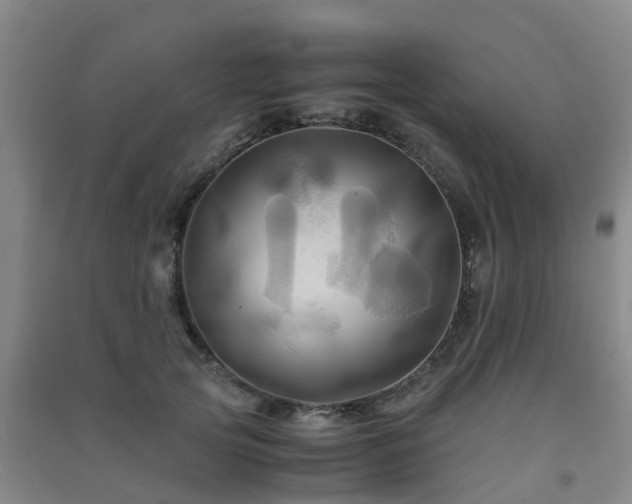 X0000091500753200708161458