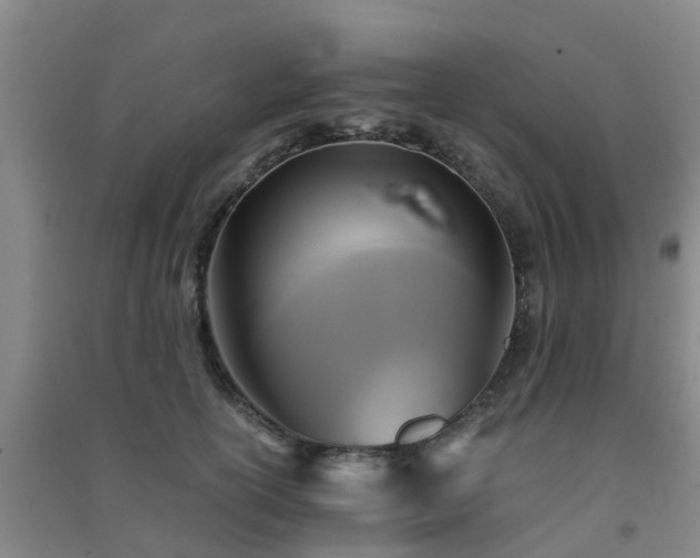 X0000091500754200708161458