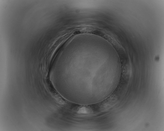 X0000091500755200708161458