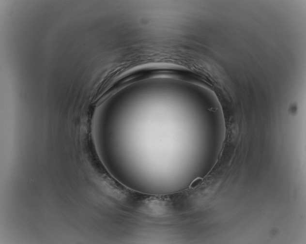 X0000091500756200708161458