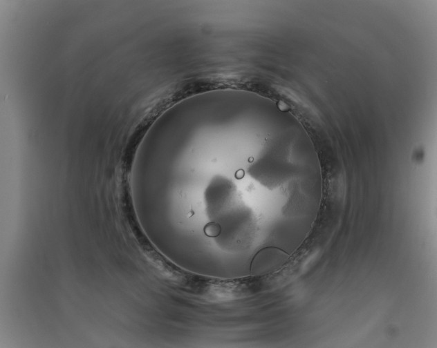 X0000091500757200708161458