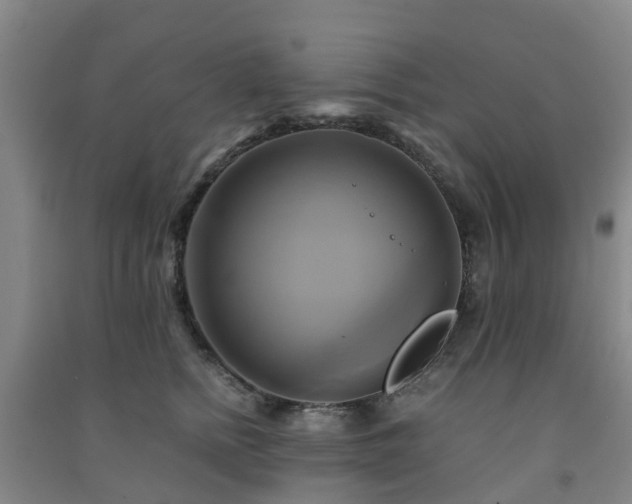 X0000091500758200708161458