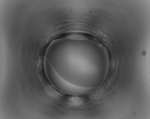 X0000091500759200708161458