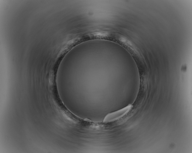 X0000091500760200708161458