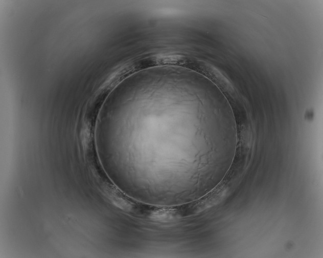 X0000091500761200708161458