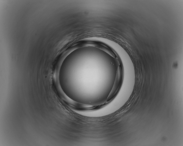 X0000091500762200708161458