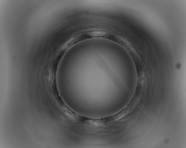 X0000091500763200708161458