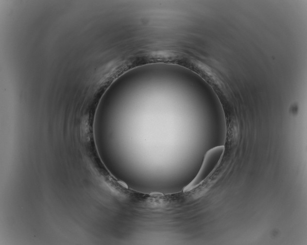 X0000091500764200708161458