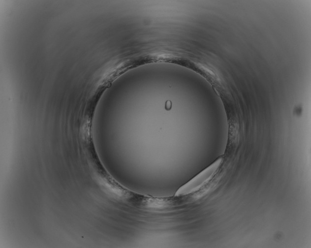 X0000091500766200708161458