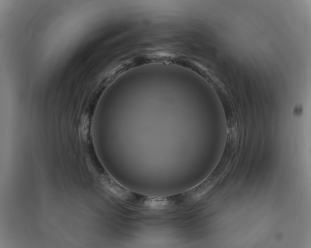 X0000091500767200708161459