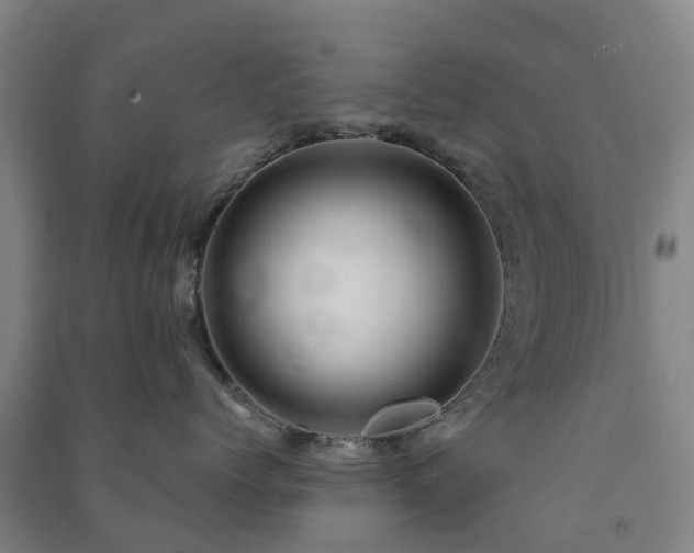 X0000091500768200708161459