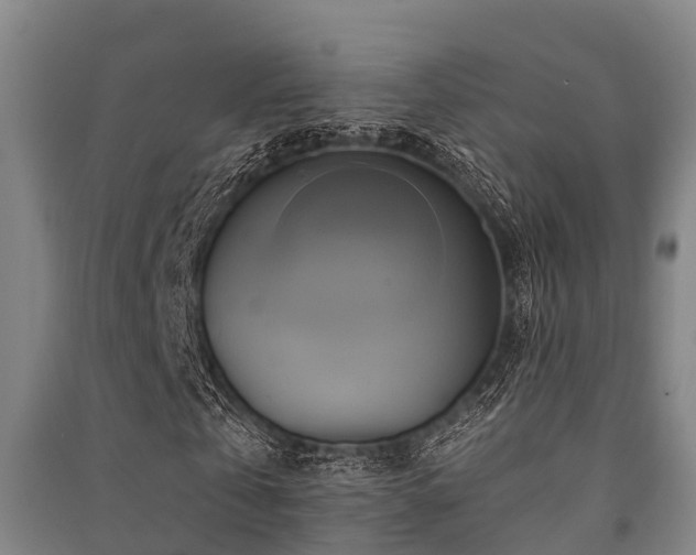 X0000091500769200708161458