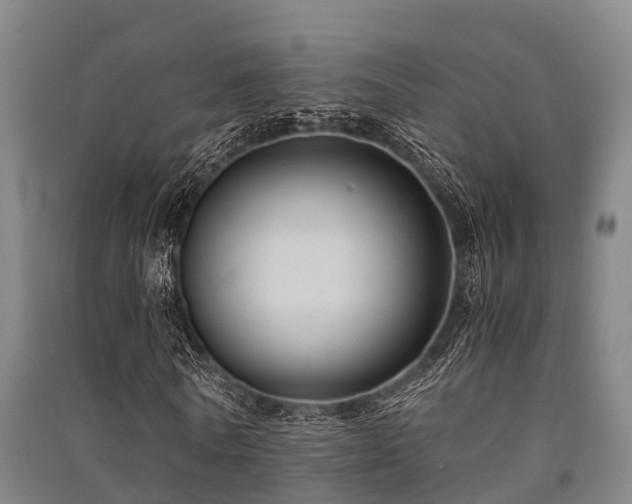 X0000091500770200708161458