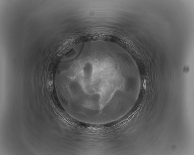 X0000091500771200708161458