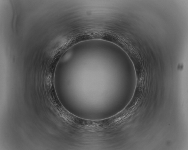X0000091500772200708161458