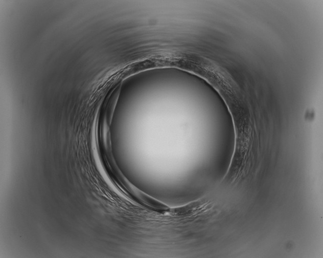X0000091500773200708161458