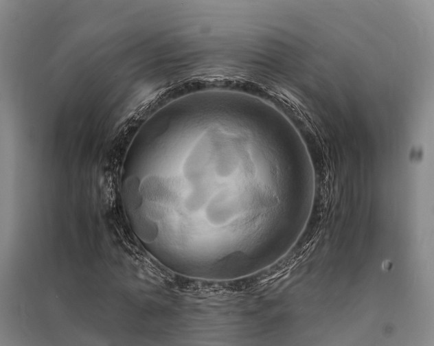X0000091500774200708161458