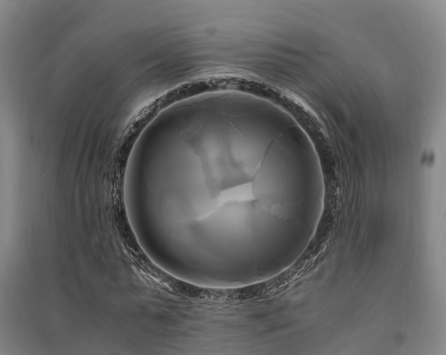 X0000091500775200708161458